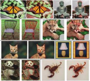Examples of symmetry-integrated segmentation results usingimages from the Caltech-101 database